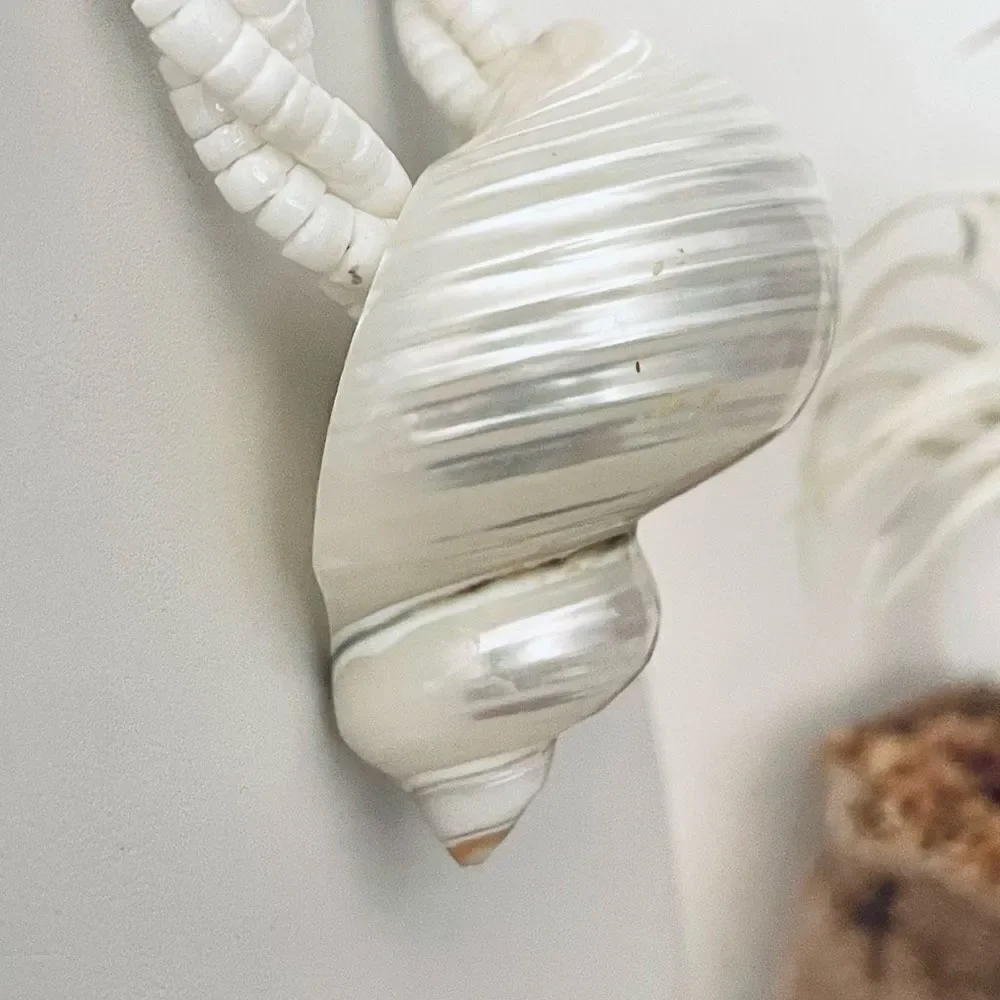 Gorgeous Ivory white off Pearl Natural Seashell Sea Shell 12” Drop Necklace - Picture 4 of 12